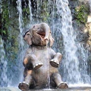 Meet your Posher, Sergio